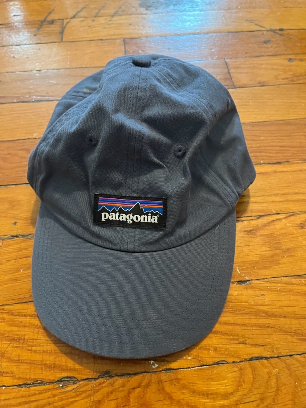 Patagonia Navy Baseball Cap with Mountain Logo